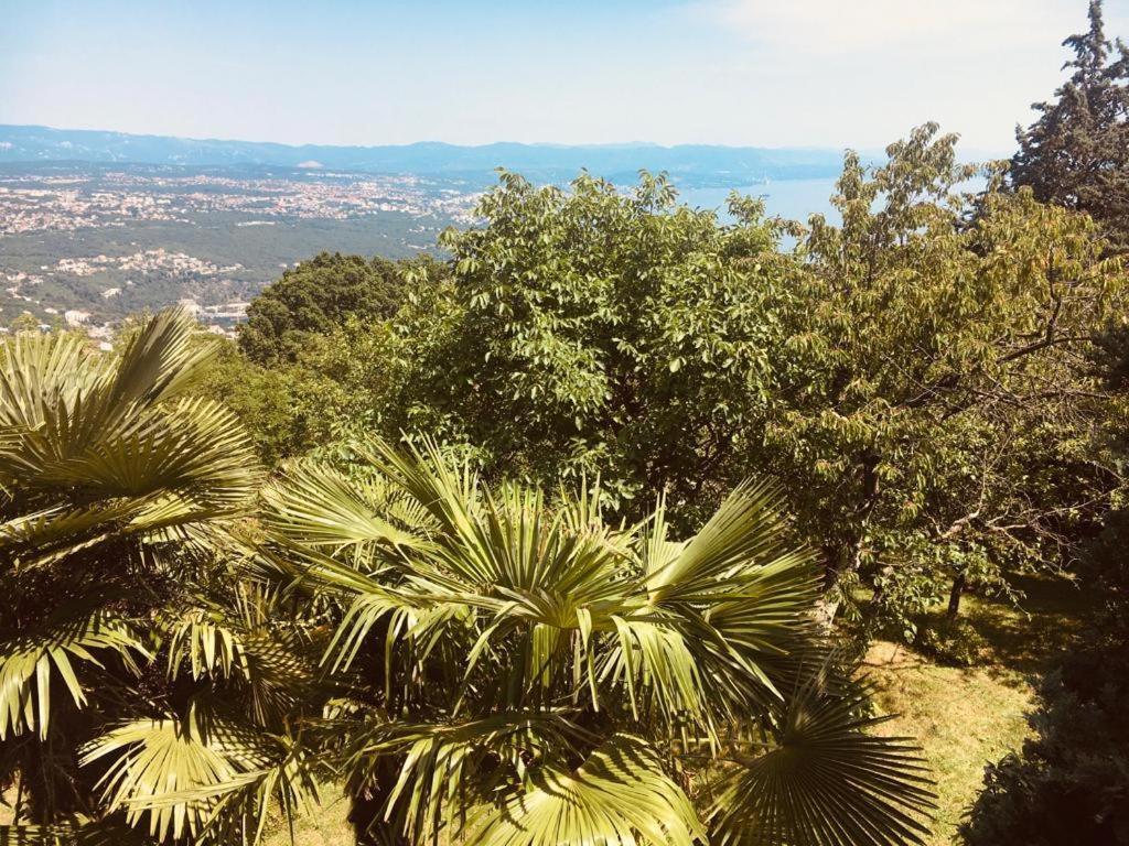 Luxury With Private Pool And 2 Bedrooms In Bay View